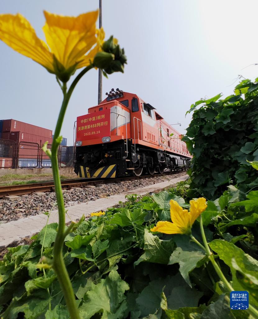 永利怎么样